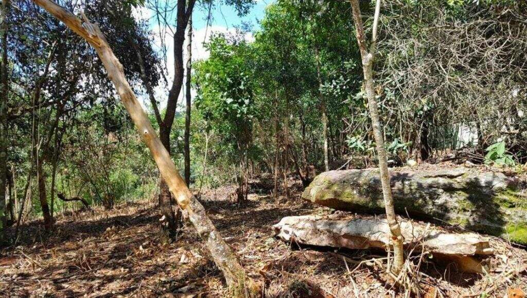 Terreno à venda no Vila Alpina: 