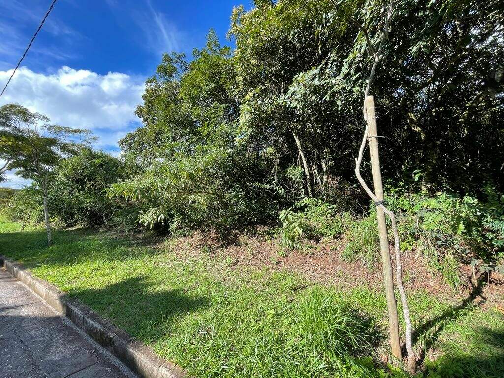 Terreno à venda no Condomínio Serra dos Manacas: 