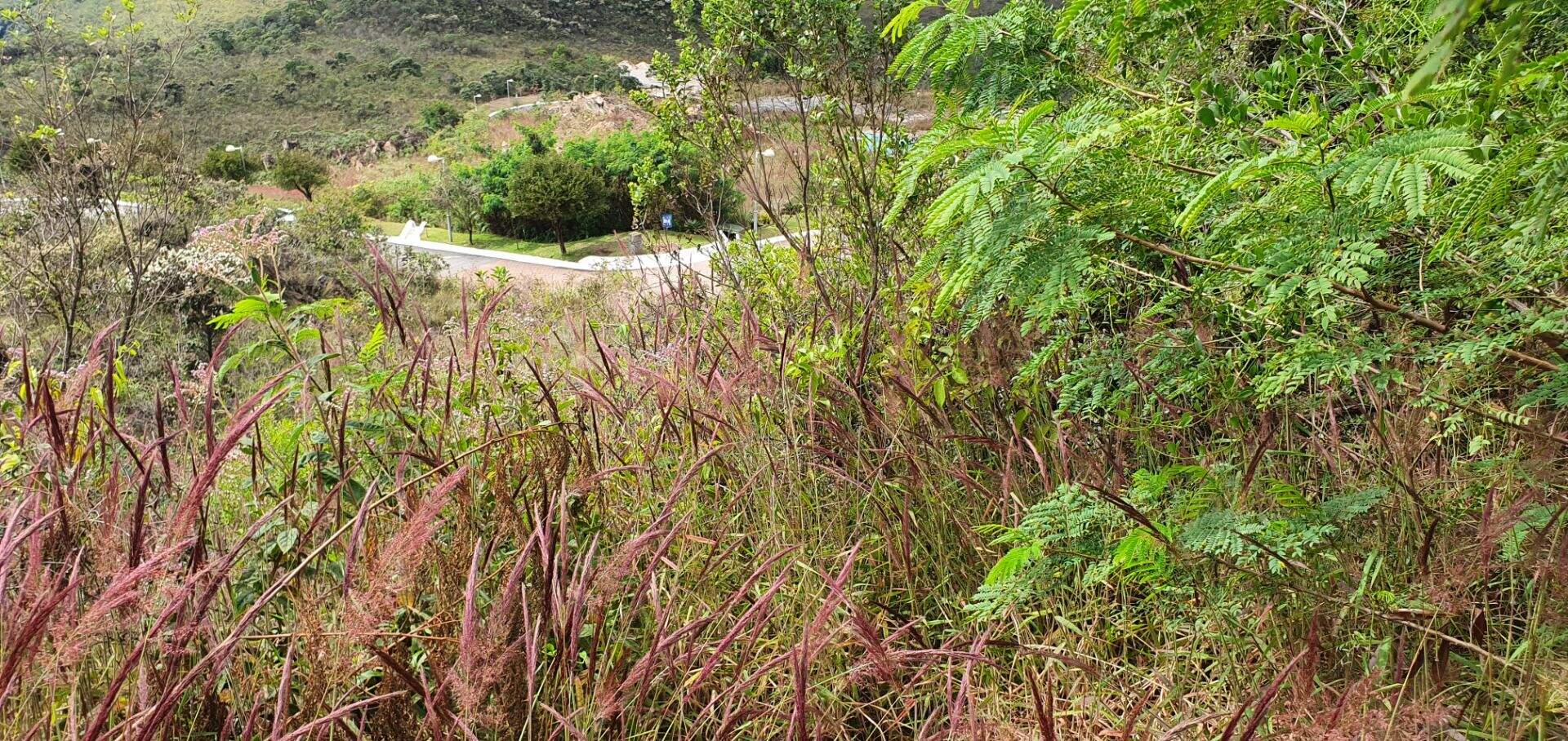 Terreno à venda no Condomínio Quintas do Morro: 