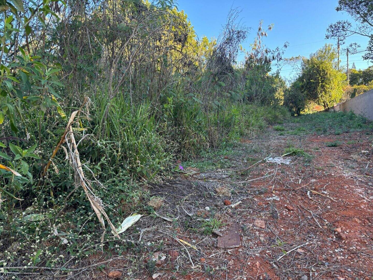 Terreno à venda no Condomínio Serra dos Manacas: 