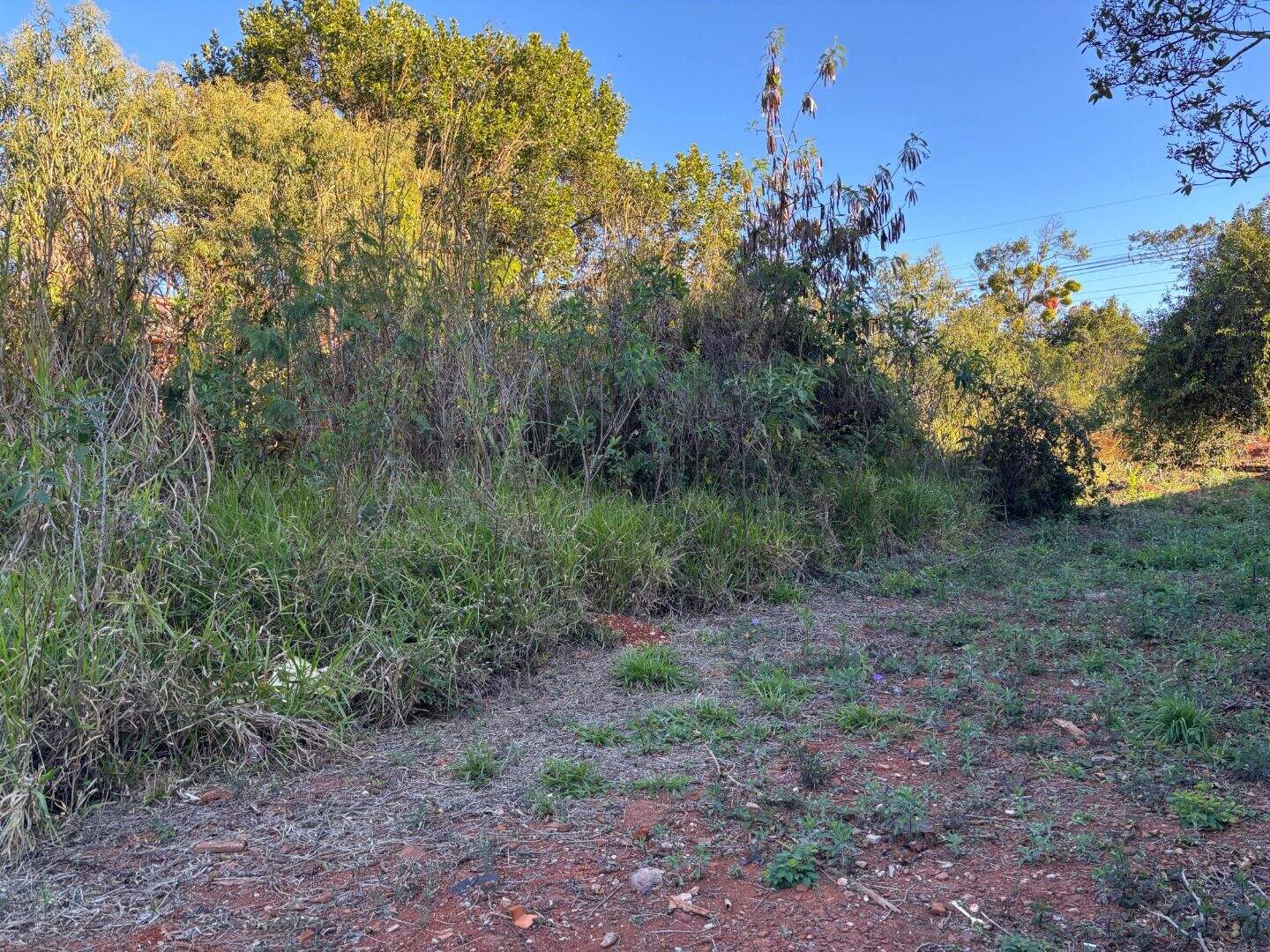 Terreno à venda no Condomínio Serra dos Manacas: 