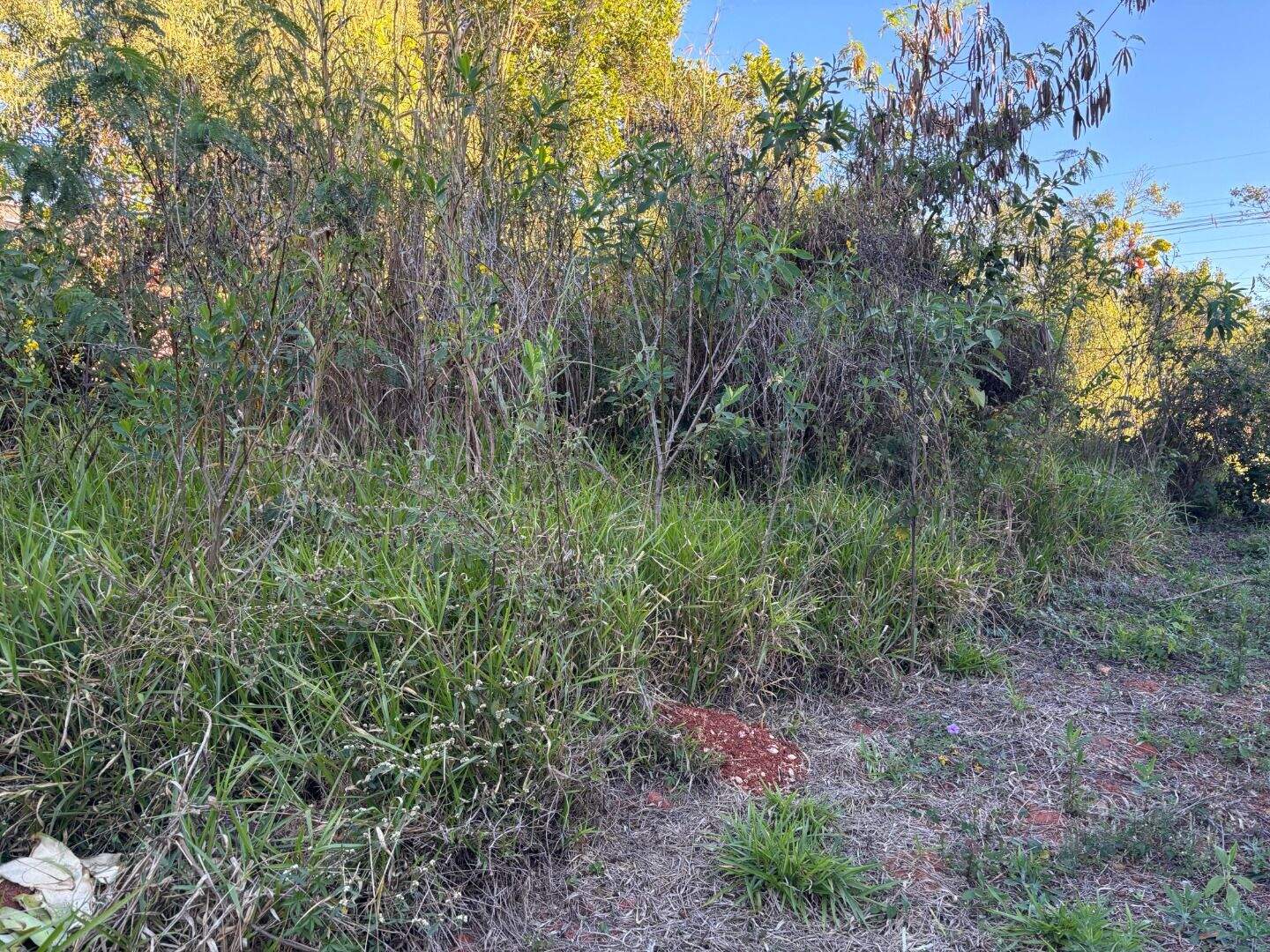 Terreno à venda no Condomínio Serra dos Manacas: 