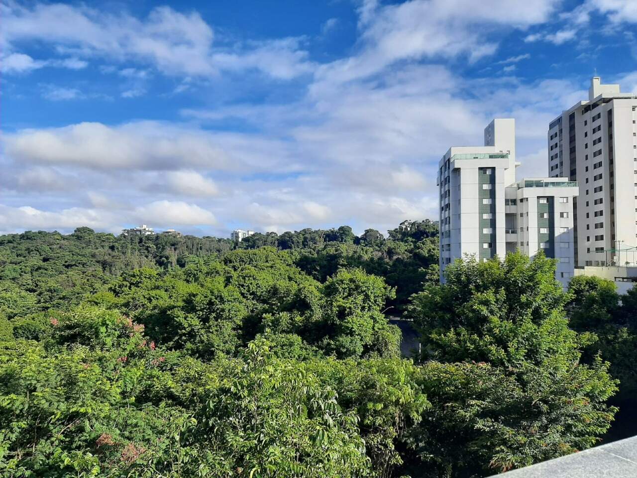Cobertura, 5 quartos, 304 m² - Foto 25
