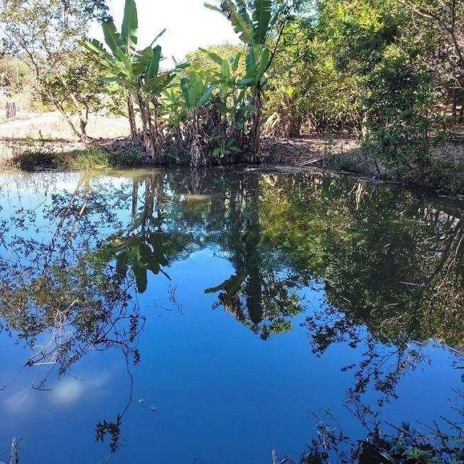 Fazenda à venda com 5 quartos - Foto 4