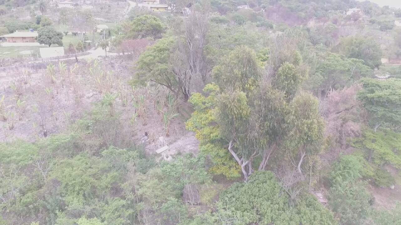 Fazenda à venda com 3 quartos, 200m² - Foto 6