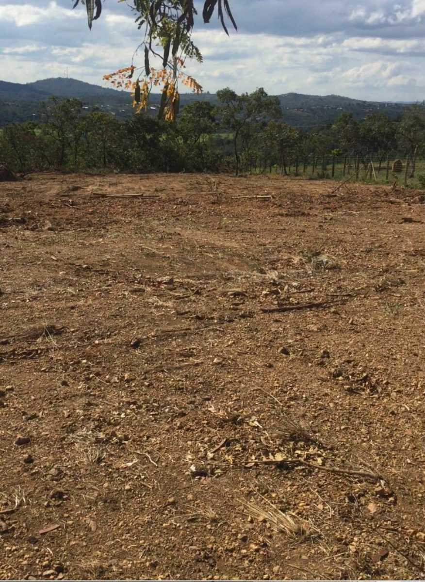 Terreno à venda, 1000m² - Foto 1