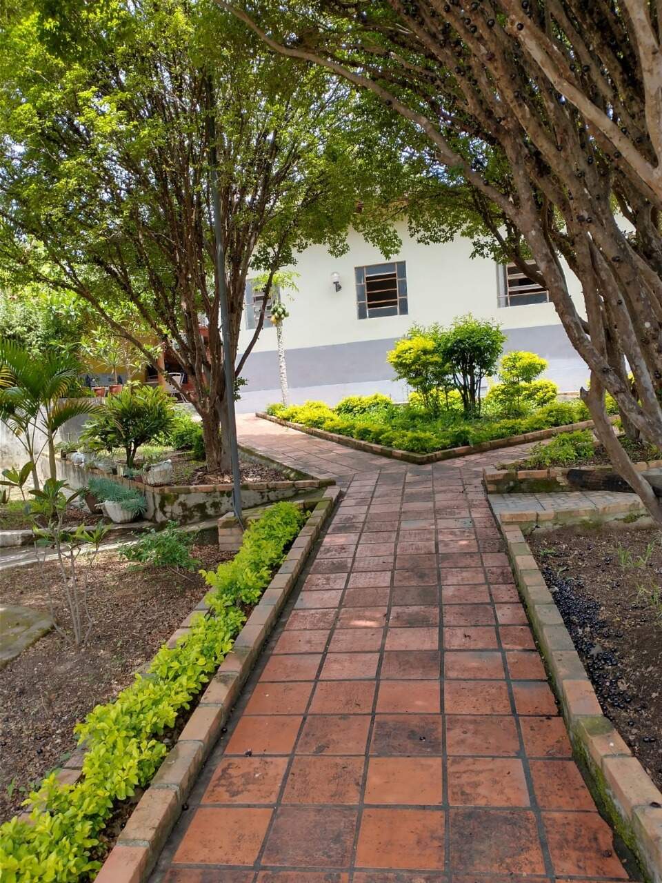 Sítio à venda com 25 quartos, 10000m² - Foto 1