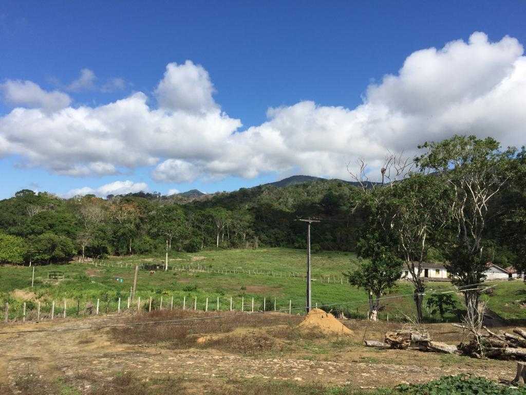 Fazenda, 5 quartos - Foto 3