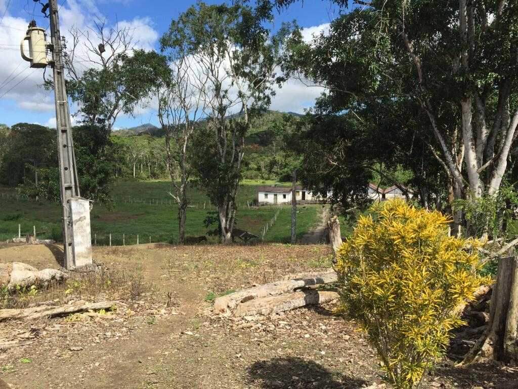 Fazenda, 5 quartos - Foto 2