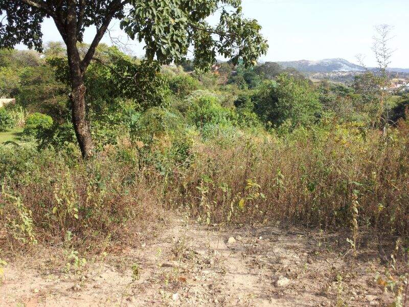 Terreno à venda, 567m² - Foto 3