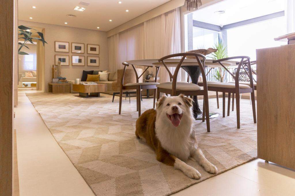 Apartamento à vendaMorumbiSão Paulo: Apartamento com 69 m², no Morumbi com 2 quartos e 1 vaga.