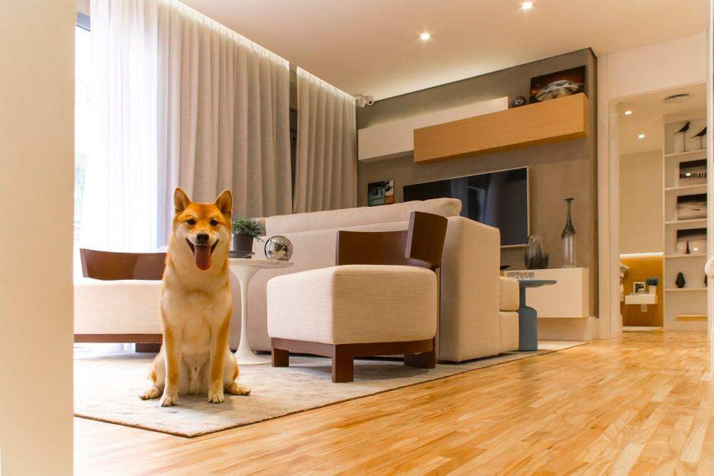 Apartamento à vendaVila Santa CatarinaSão Paulo: Apartamento com 50 m², em Jabaquara com 2 quartos e 1 vaga.