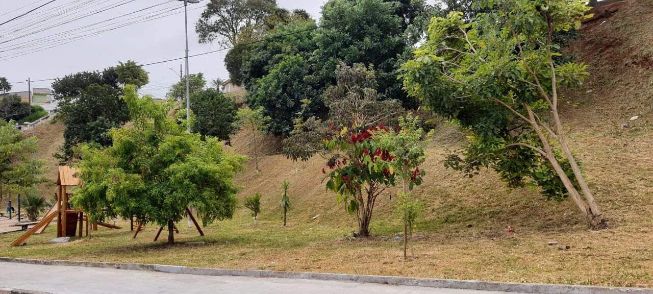 Casa à vendaVila CajuSão Paulo: Casa com 04 dormitórios à venda na Vila Caju - São Paulo - SP