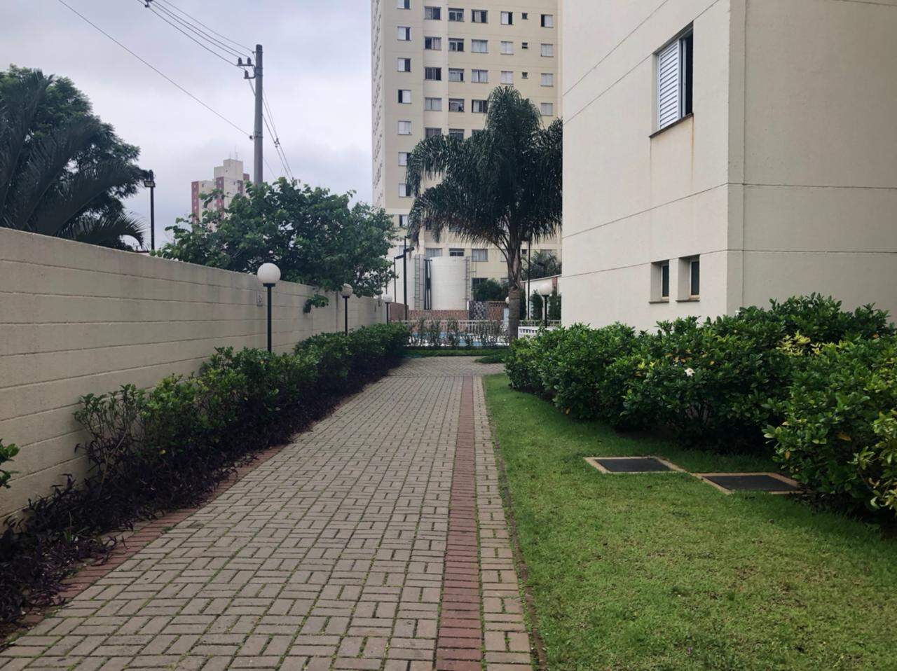 Apartamento à vendaBrásSão Paulo:  Apartamento com 03 dormitórios à venda no Tatuapé - São Paulo - SP 