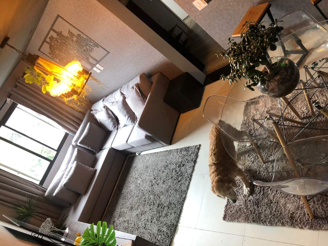 Apartamento à vendaSacomãSão Paulo: apartamento á venda no sacoma