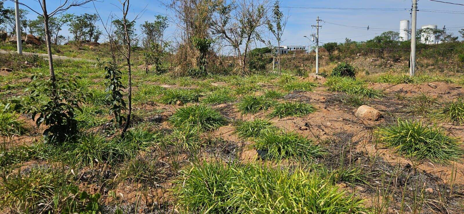 Terreno à venda no Villagio do Conde: 
