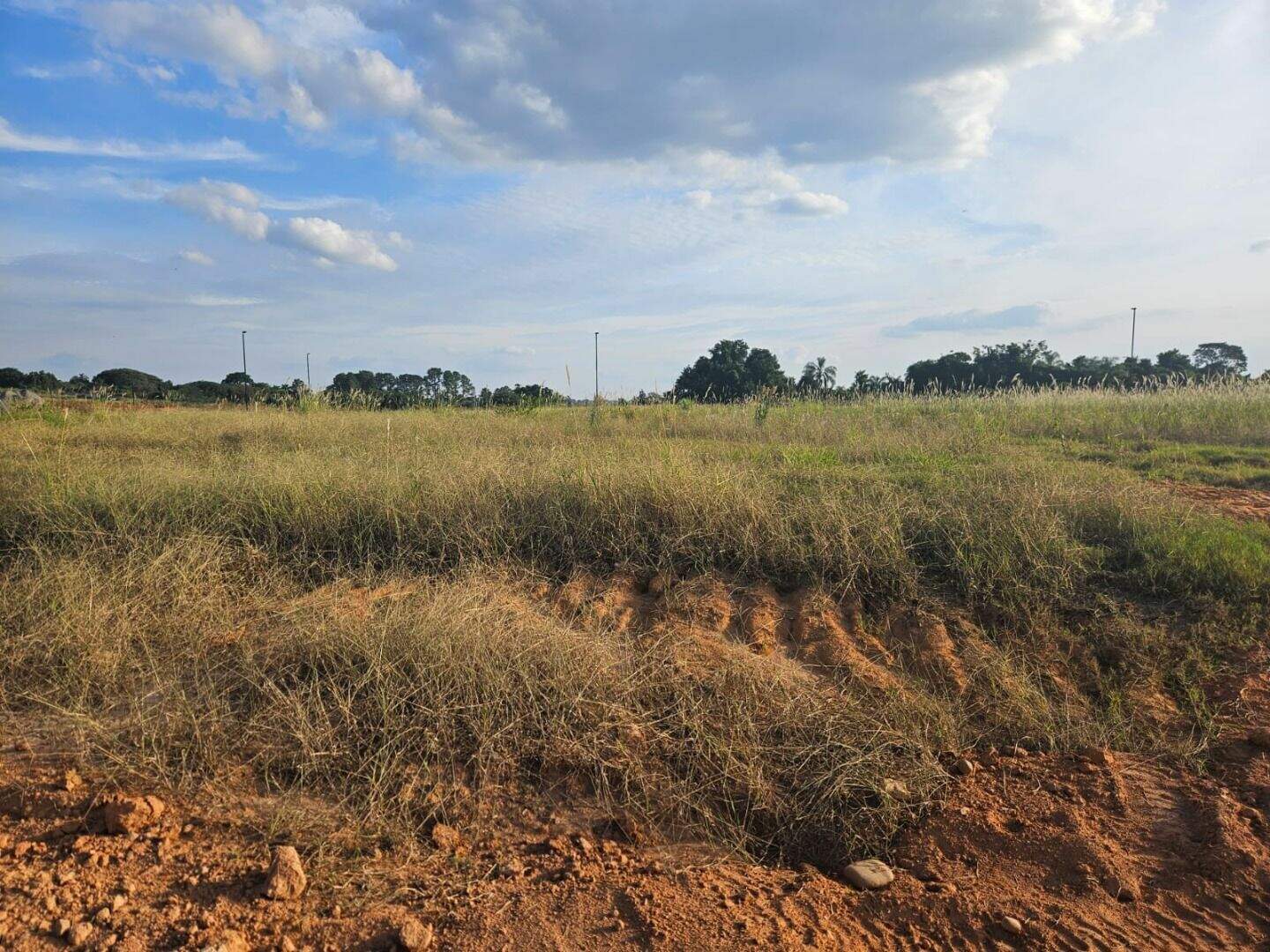 Terreno à venda no Jardim Juliana: 