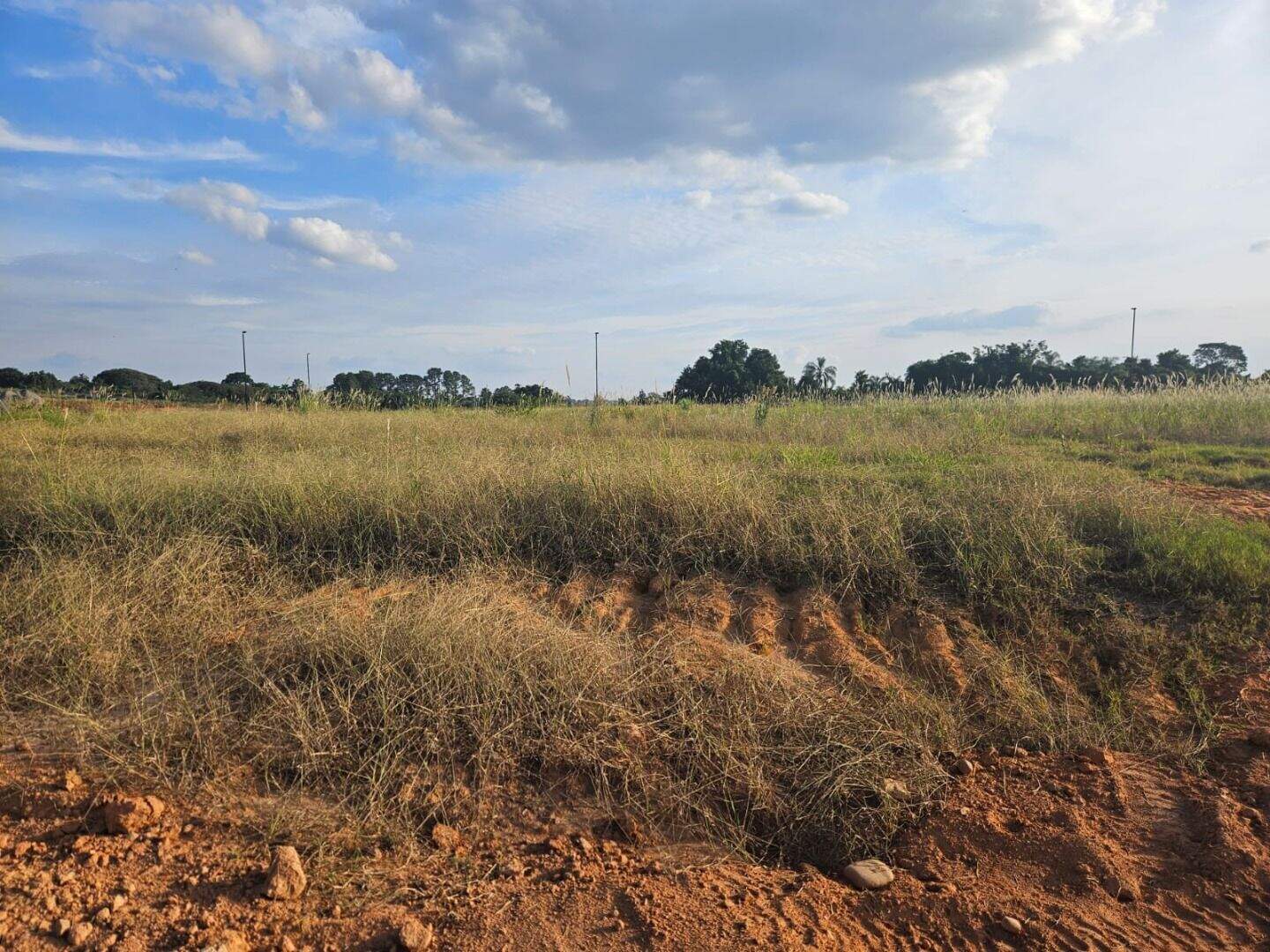Terreno à venda no Jardim Juliana: 