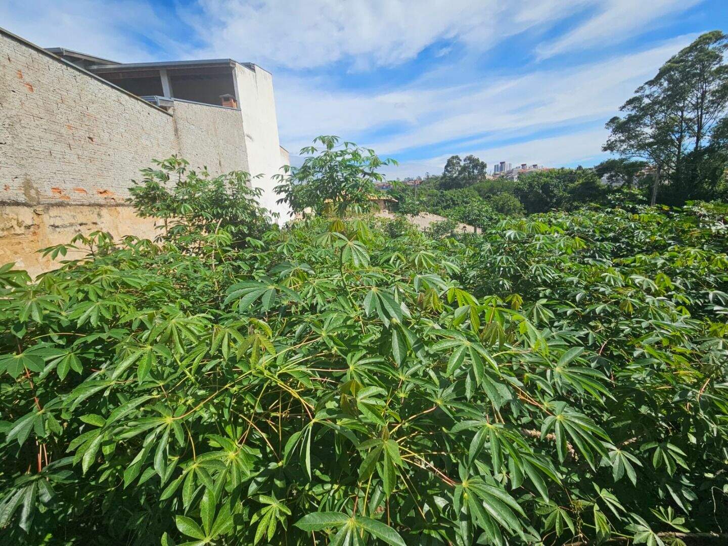 Terreno à venda no Jardim Bela Vista: 