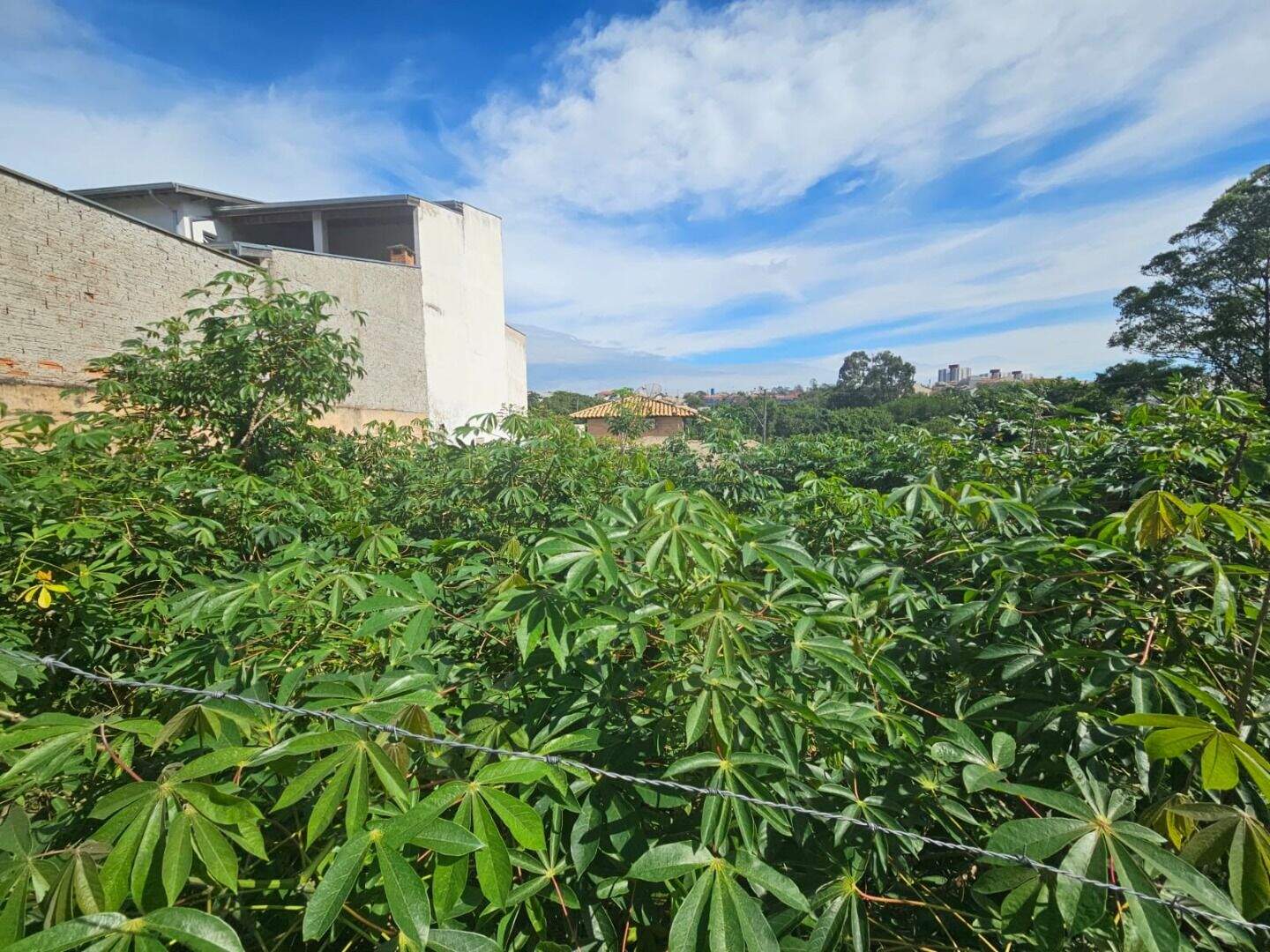 Terreno à venda no Jardim Bela Vista: 