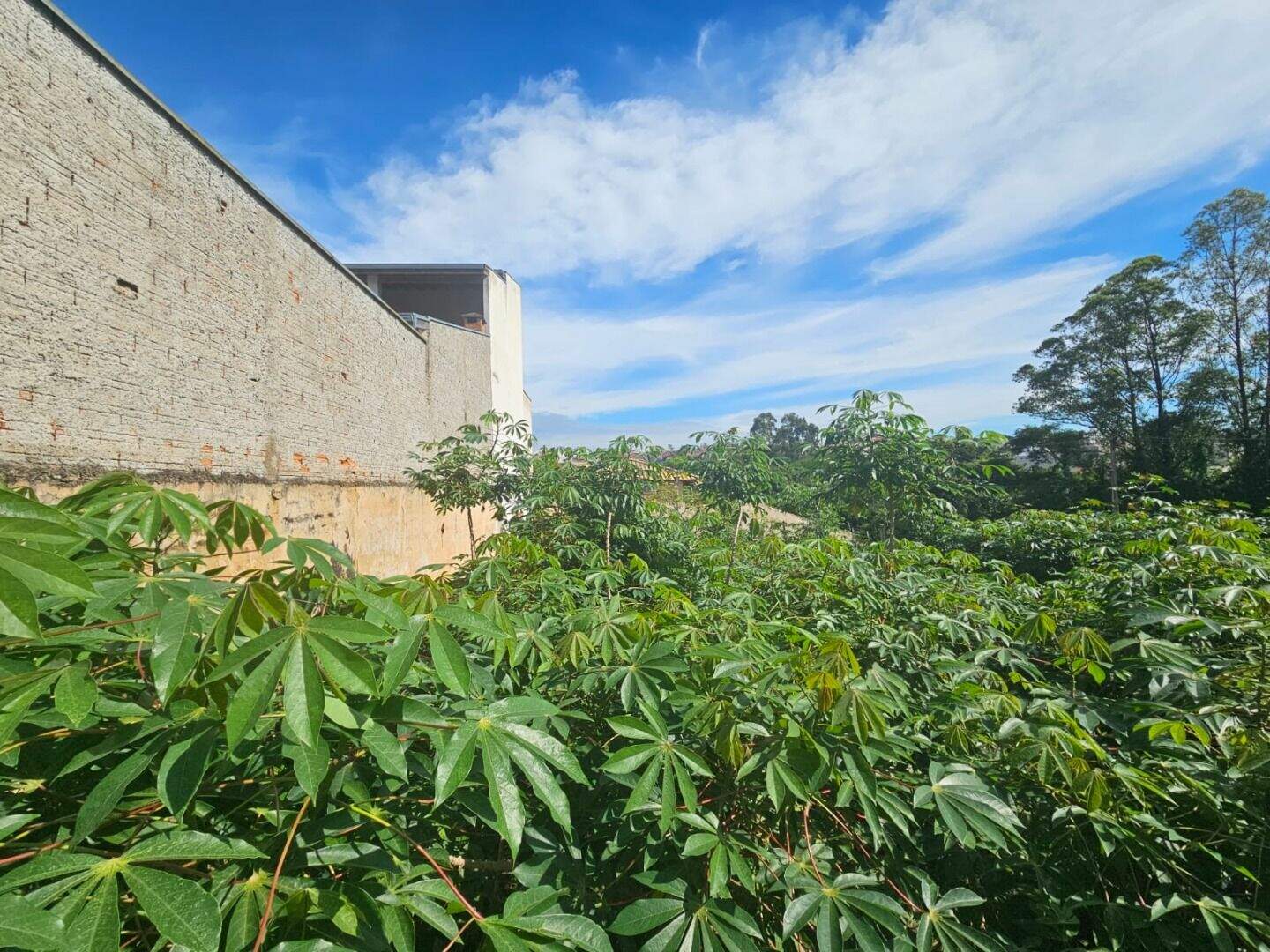 Terreno à venda no Jardim Bela Vista: 