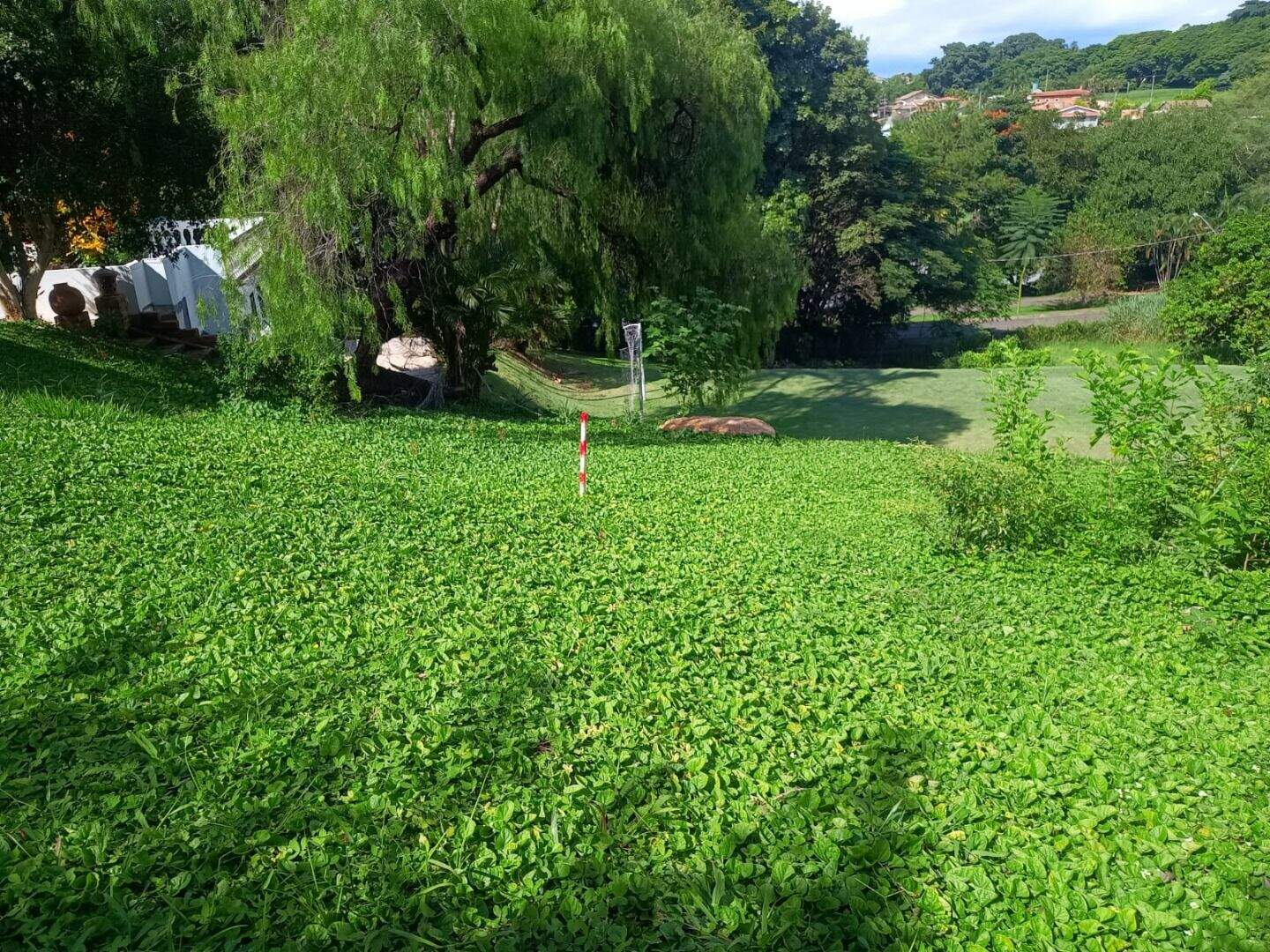 Terreno à venda no Terras de Itaici: 