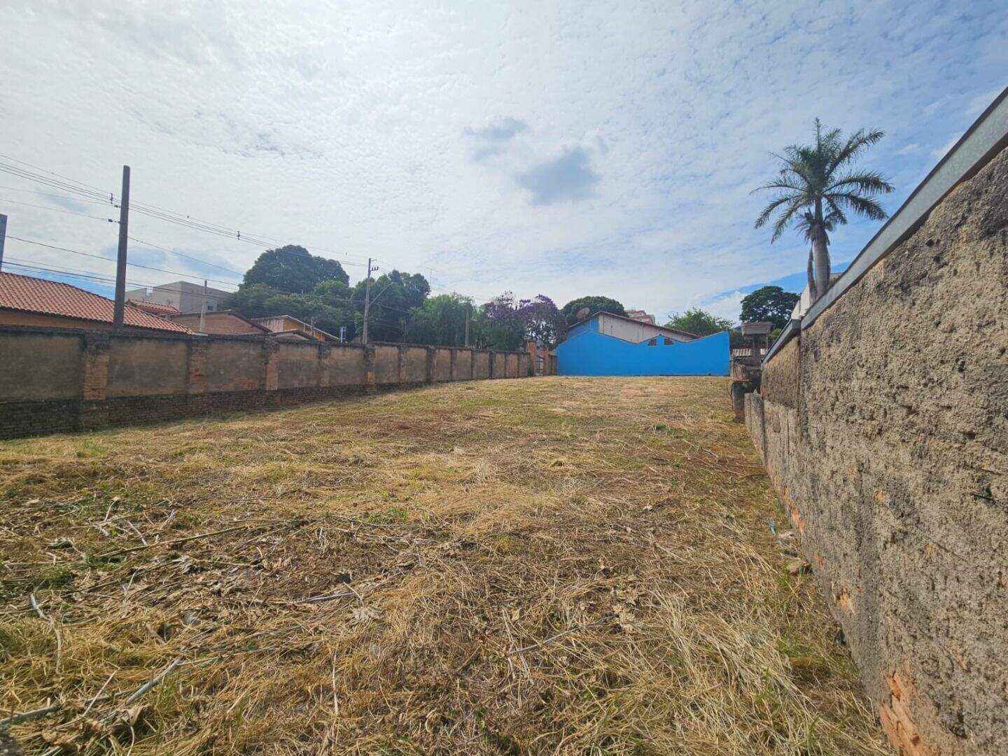 Terreno para aluguel no Centro: 