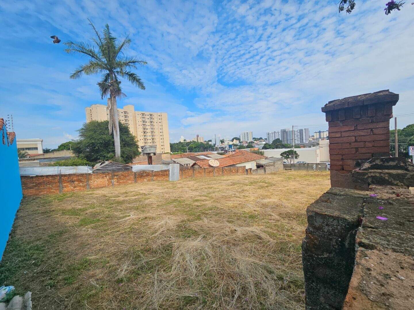 Terreno para aluguel no Centro: 