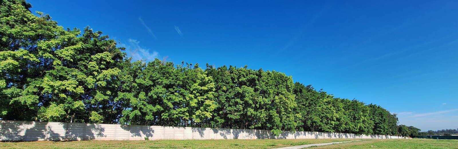 Terreno à venda no Parque das Bandeiras: 