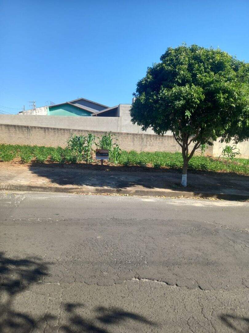 Terreno à venda no Jardim Regina: 