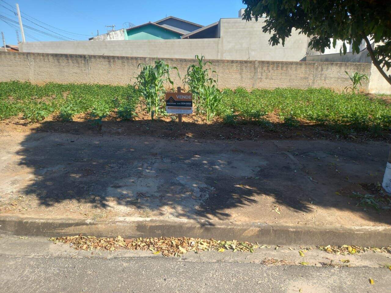 Terreno à venda no Jardim Regina: 