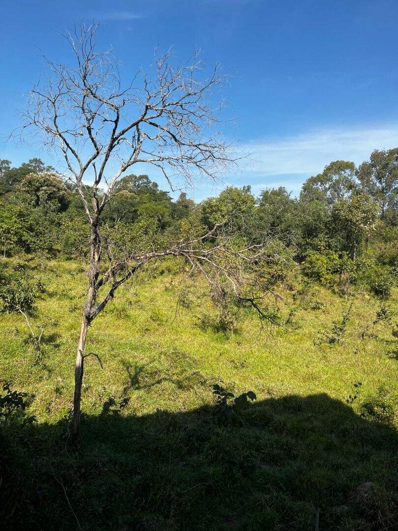 Apartamento à venda no Residencial Parque Laguna: 