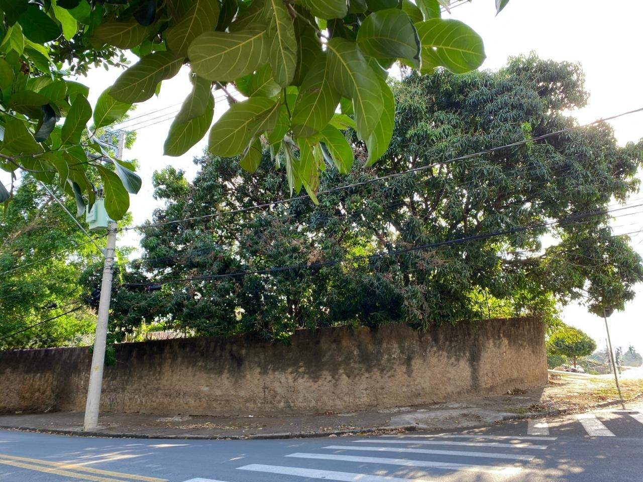 Lote à venda no Parque Residencial Indaiá: 