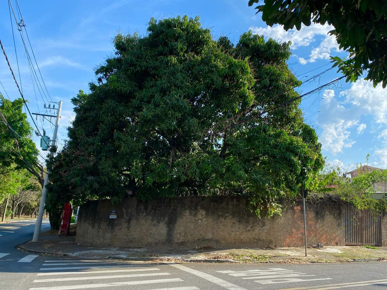 Lote à venda no Parque Residencial Indaiá: 