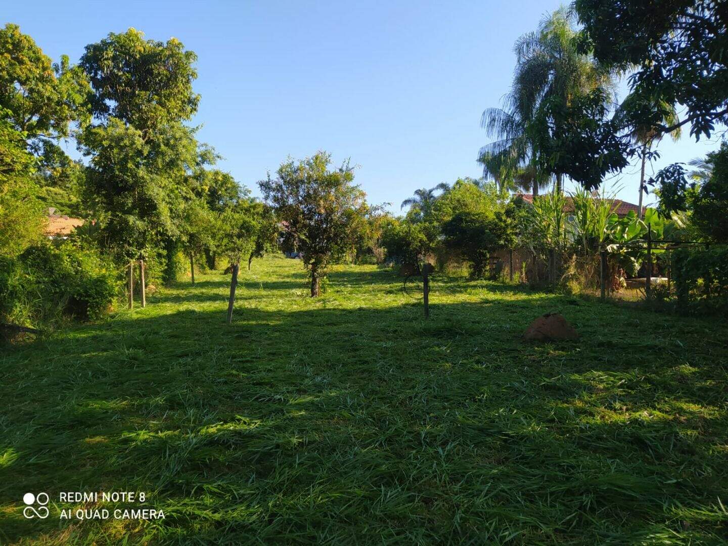 Terreno à venda no Terras de Santa Rosa: 