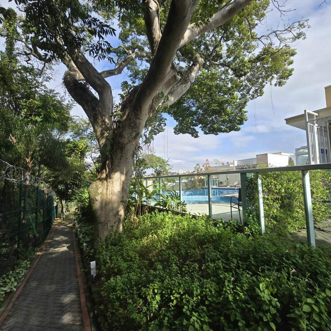 Apartamento para aluguel no Jardim Santiago: 