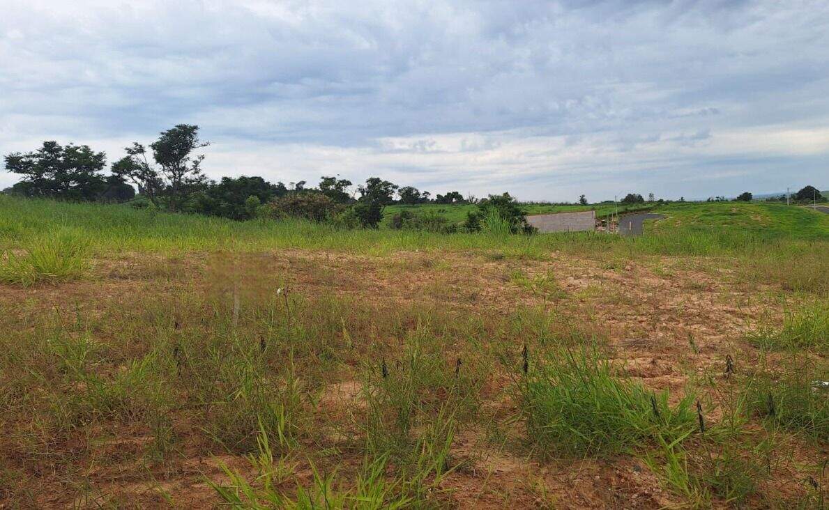 Terreno à venda no Cardeal: 