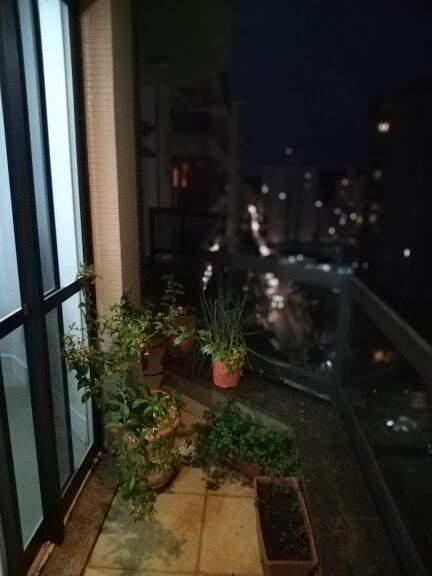Apartamento para à venda no Centro na cidade de Ribeirão Preto: 
