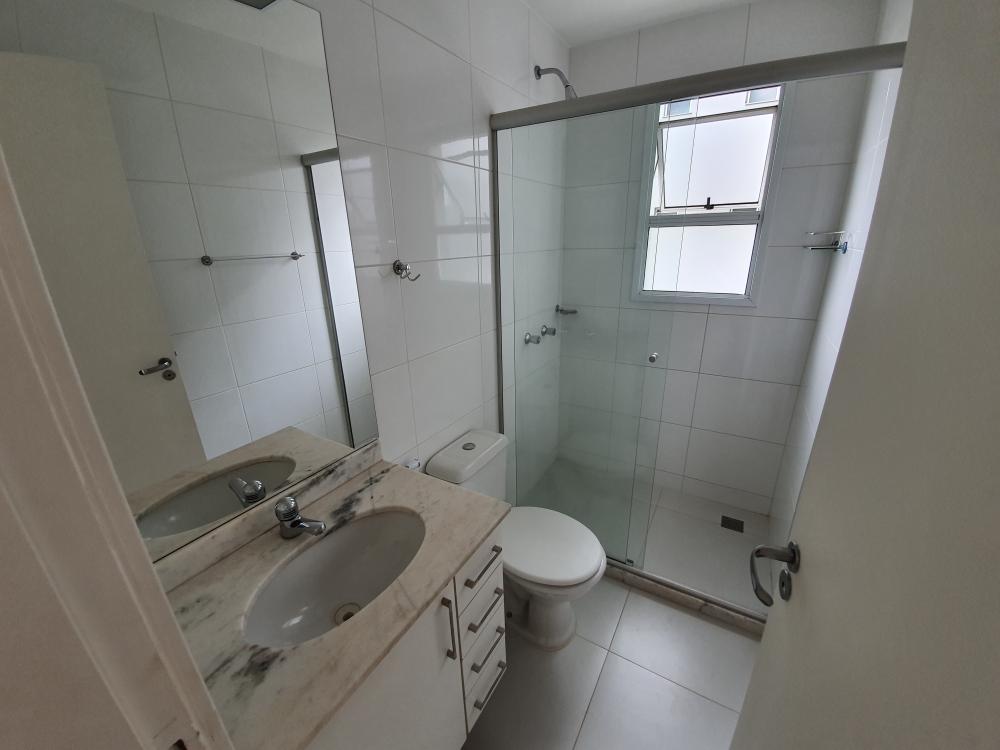 Apartamento para para aluguel no Nova Aliança na cidade de Ribeirão Preto: 