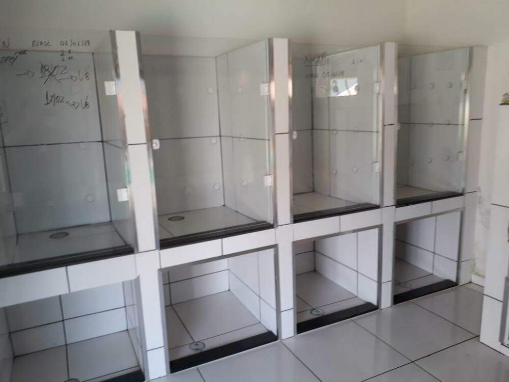 Chácaras para à venda no Portal dos Ipês na cidade de Ribeirão Preto: 