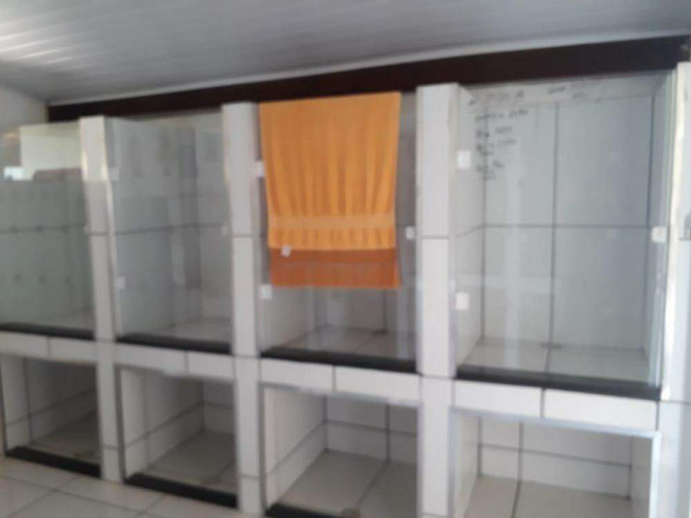 Chácaras para à venda no Portal dos Ipês na cidade de Ribeirão Preto: 