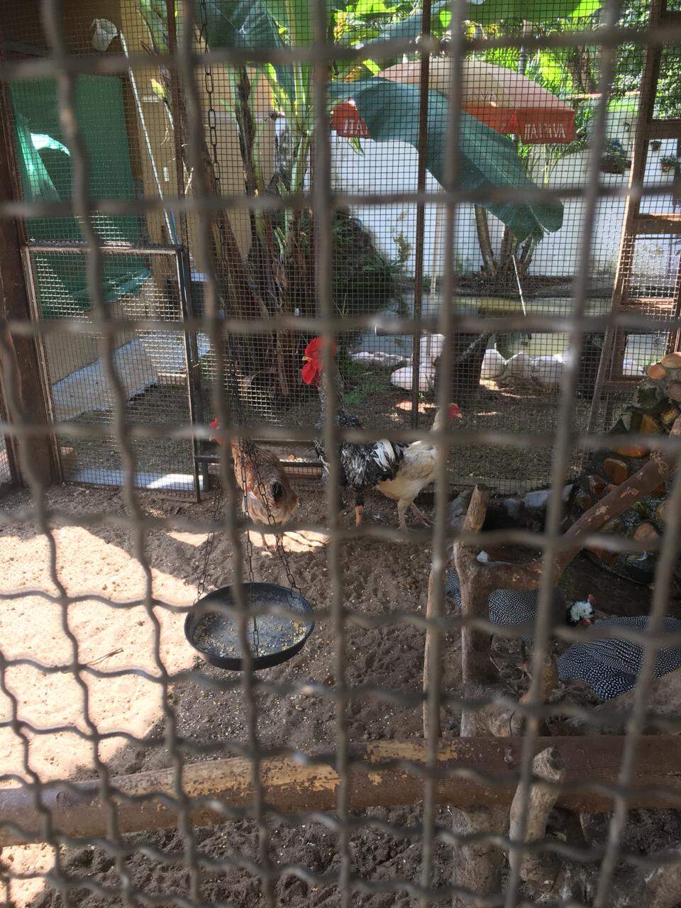 Chácaras para à venda no Portal dos Ipês na cidade de Ribeirão Preto: 