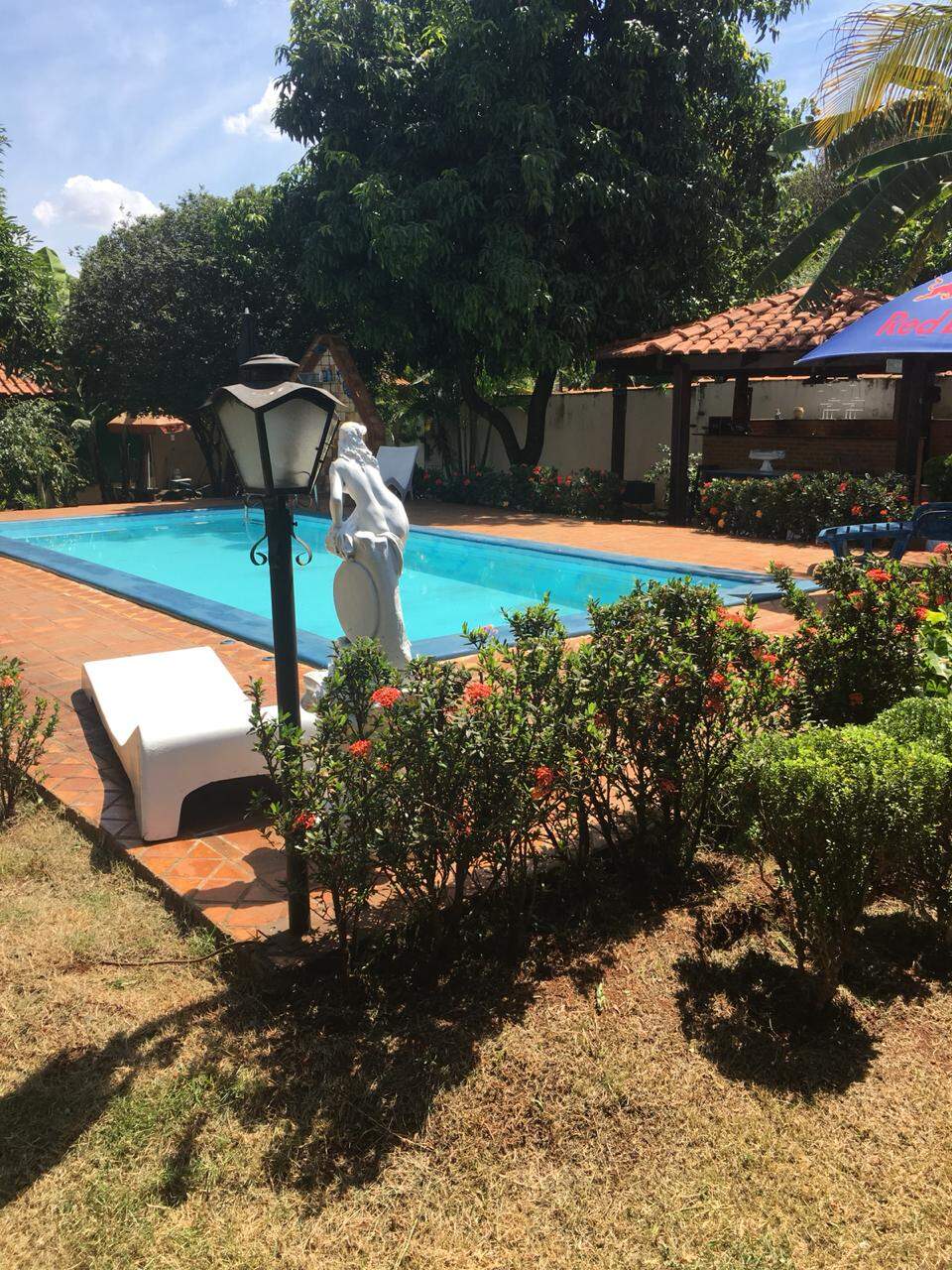 Chácaras para à venda no Portal dos Ipês na cidade de Ribeirão Preto: 