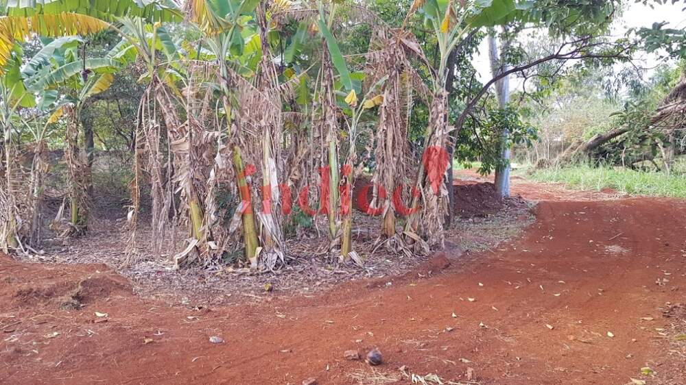 Terrenos Bairro para para aluguel no Ribeirânia na cidade de Ribeirão Preto: 