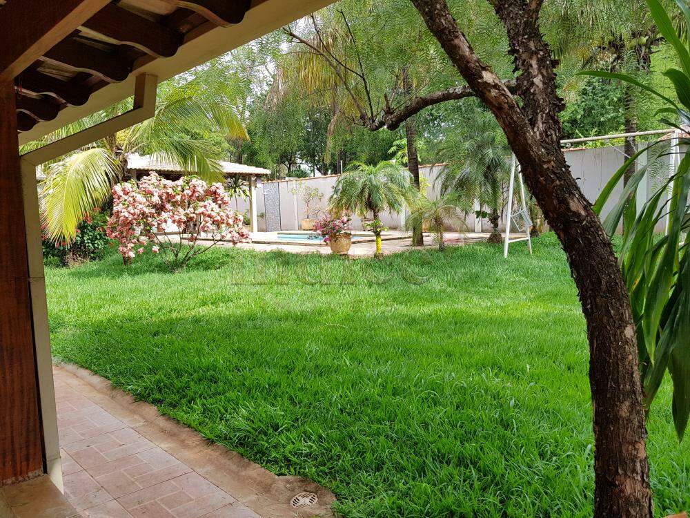 Chácaras para à venda no Condomínio Balneário Recreativa na cidade de Ribeirão Preto: 