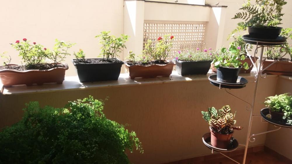 Apartamento para à venda no Centro na cidade de Ribeirão Preto: 