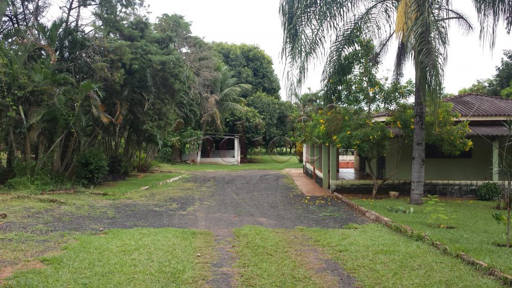 Chácaras para à venda no Patrimonial Campestre na cidade de Ribeirão Preto: 