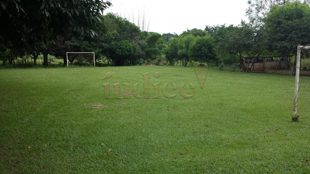 Chácaras para à venda no Patrimonial Campestre na cidade de Ribeirão Preto: 