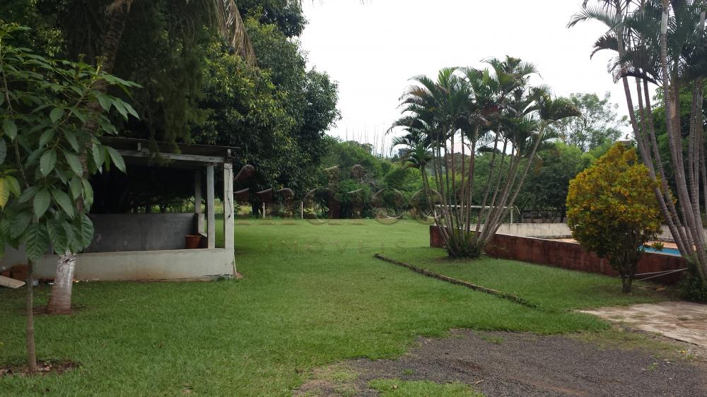 Chácaras para à venda no Patrimonial Campestre na cidade de Ribeirão Preto: 