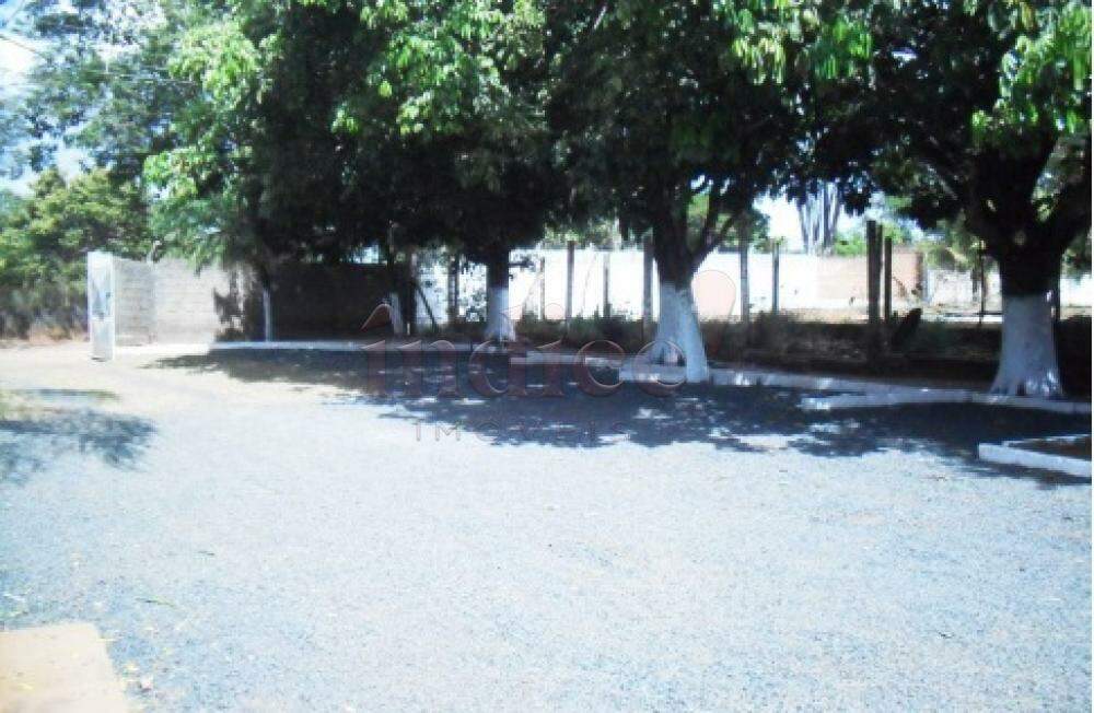 Chácaras para à venda no Patrimonial Campestre na cidade de Ribeirão Preto: 